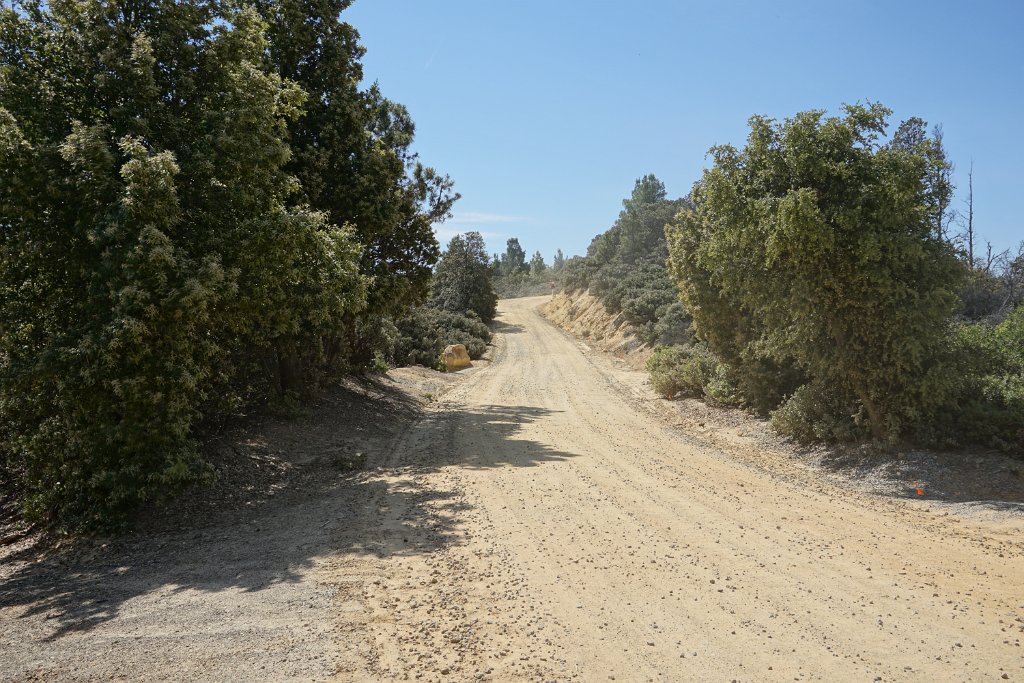 DSC05879