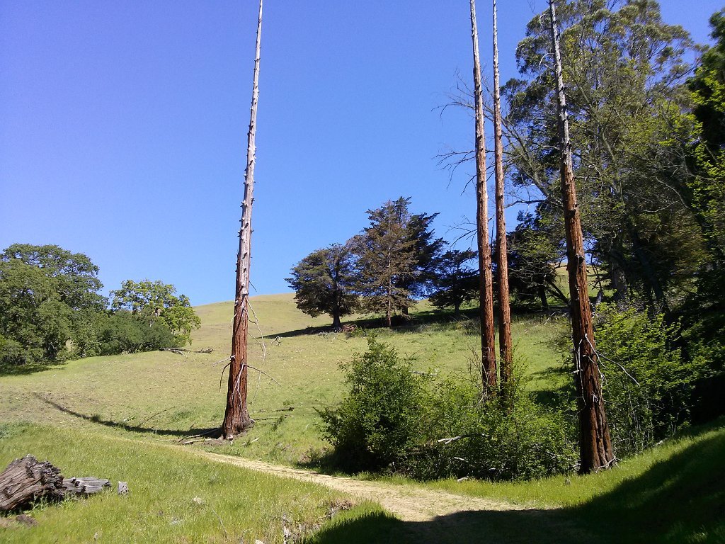 CAM00094