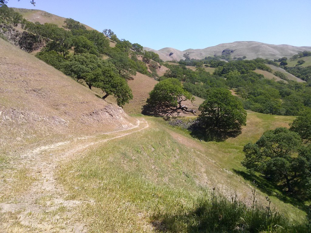 CAM00115