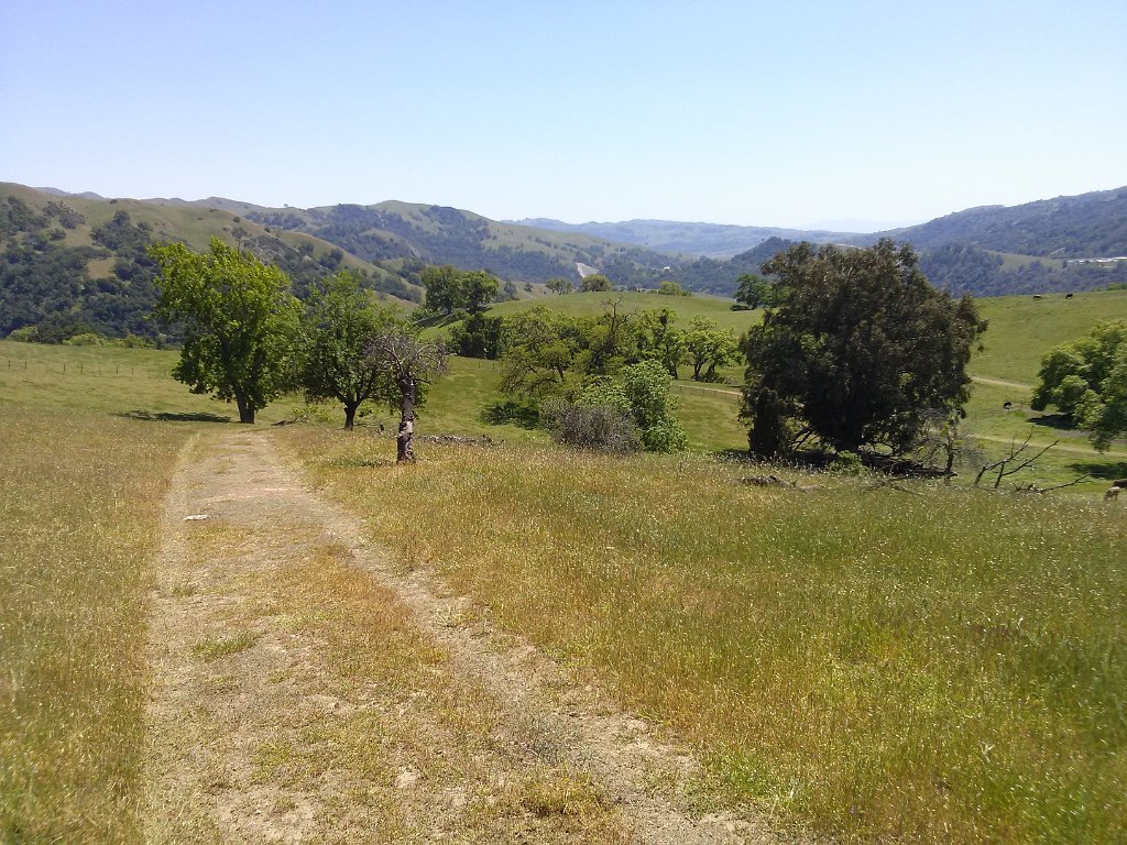 CAM00131