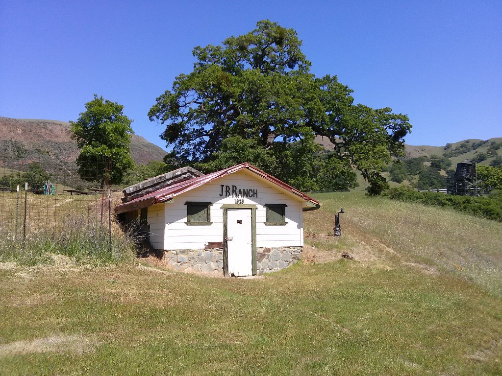 CAM00133