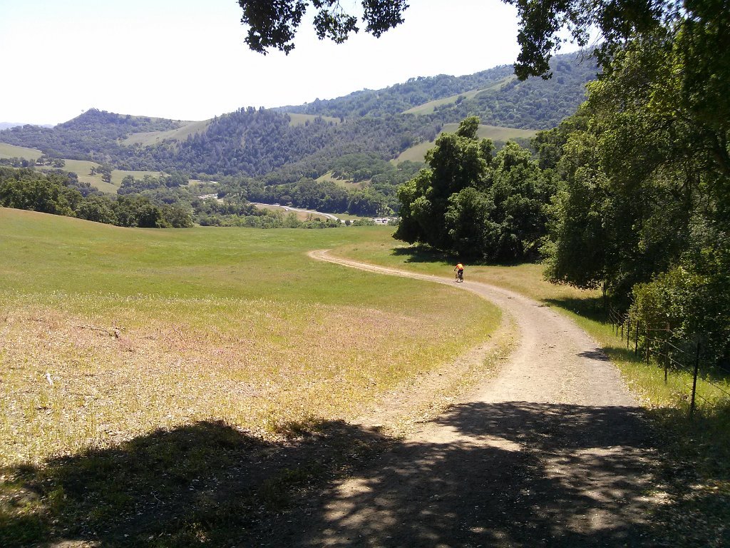 CAM00135