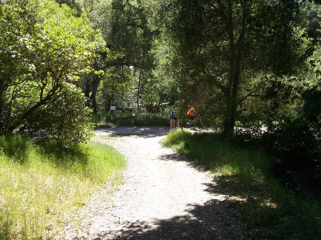 CAM00137