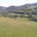 CAM00136