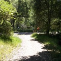 CAM00137