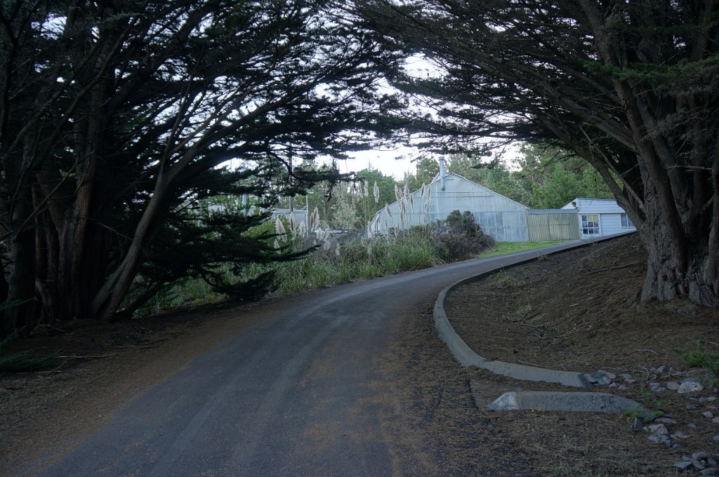 DSC04050
