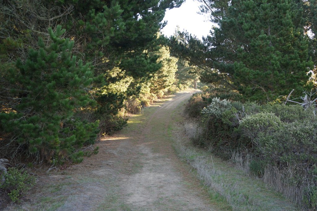 DSC04066