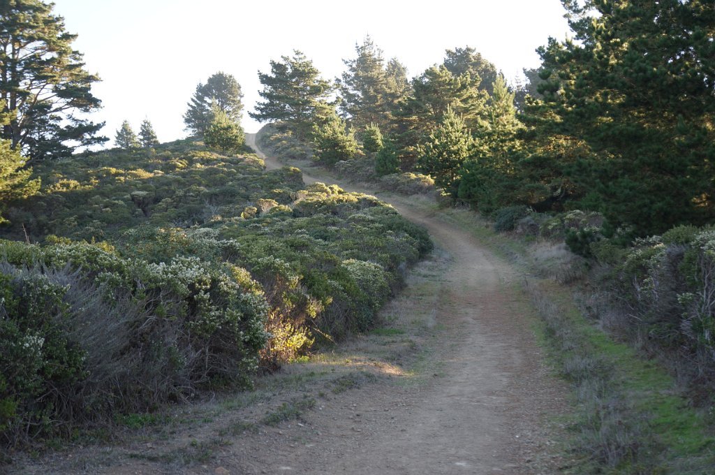 DSC04067