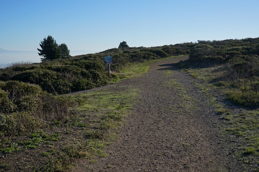 DSC04075