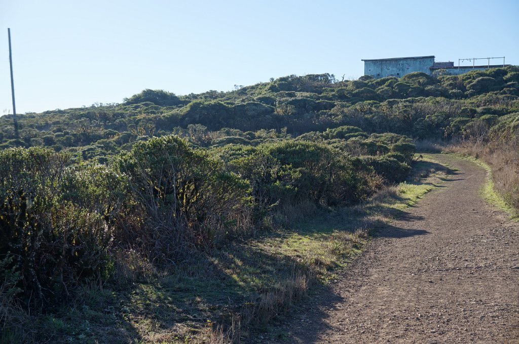 DSC04081