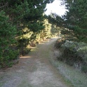 DSC04066