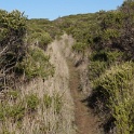 DSC04135