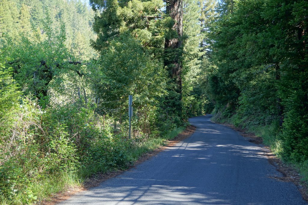 DSC02621