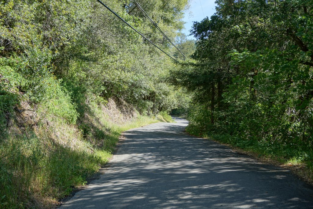 DSC02625