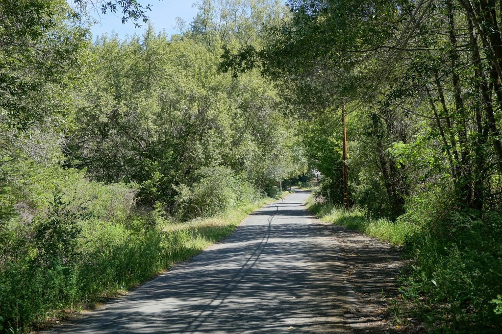 DSC02647