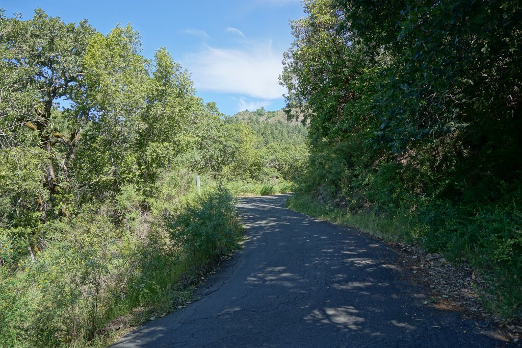DSC02649