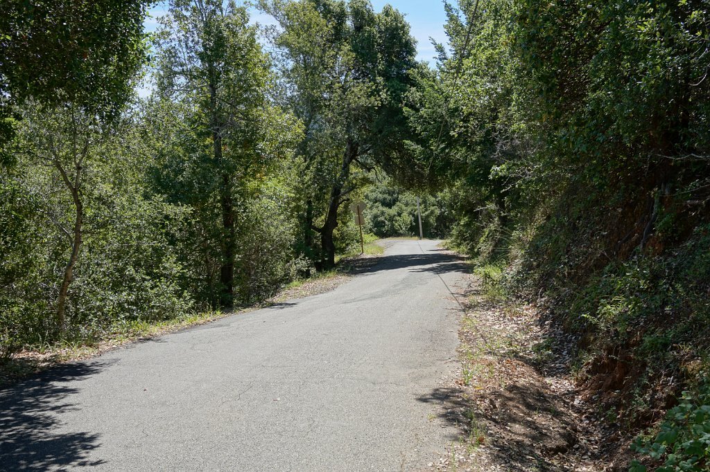 DSC02664
