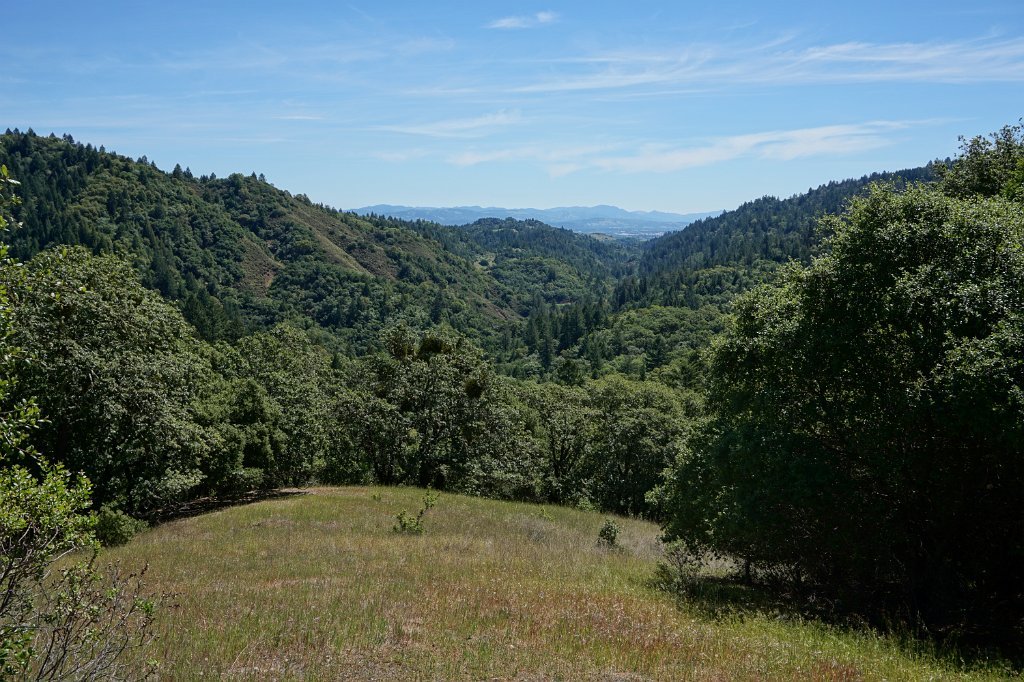 DSC02666