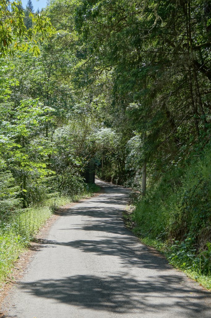 DSC02676