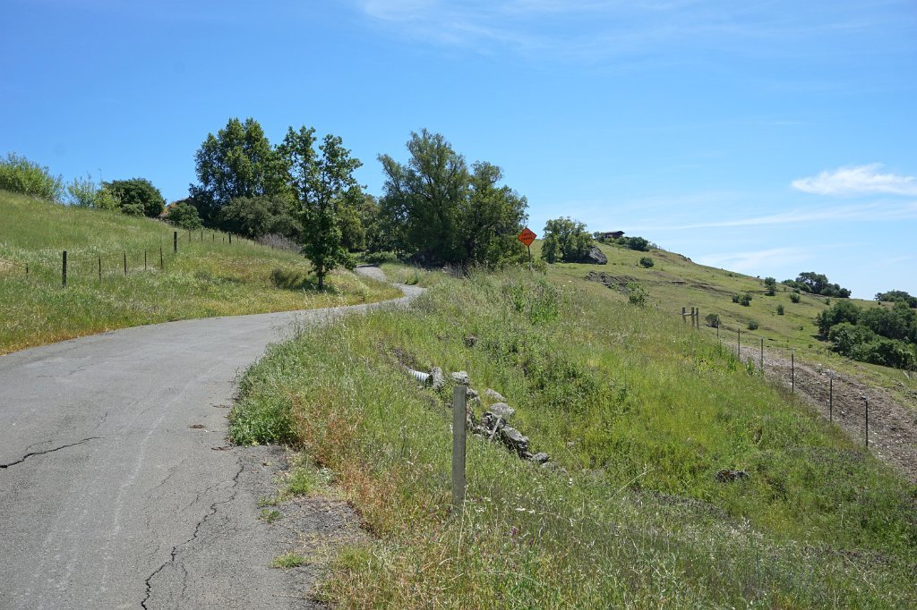 DSC02704