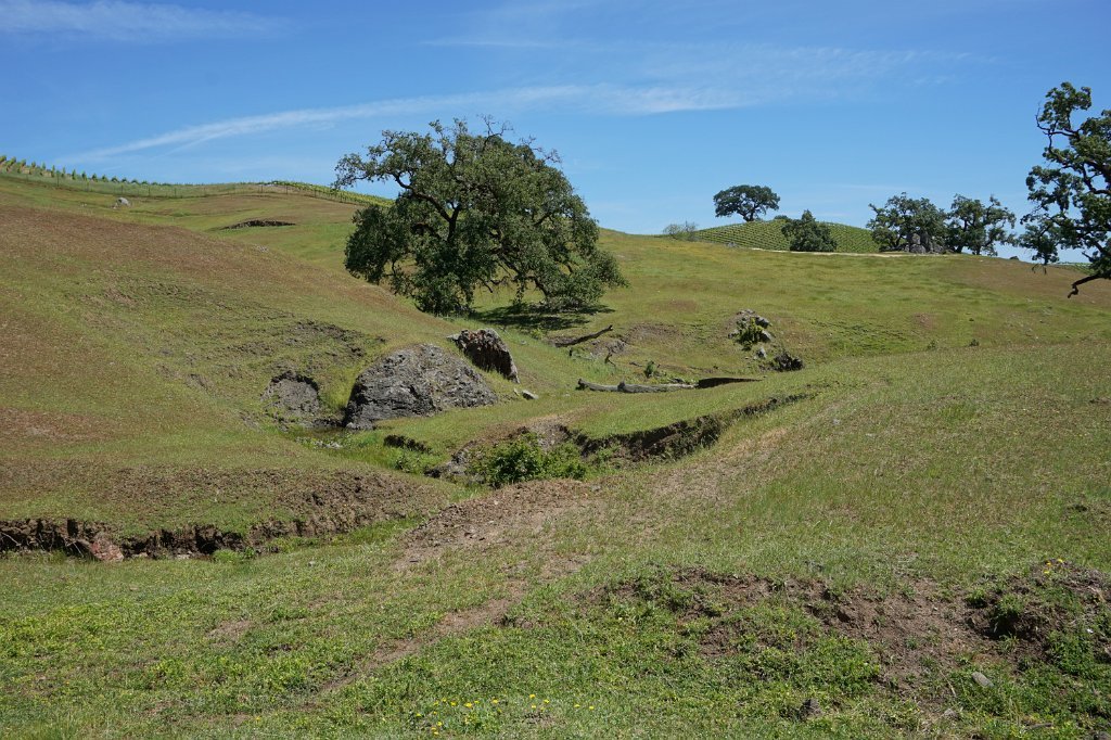 DSC02711