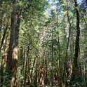DSC02609
