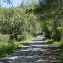 DSC02647