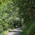DSC02676