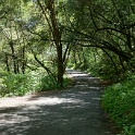 DSC02684