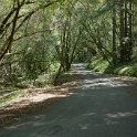 DSC02690