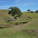 DSC02711