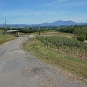 DSC02717