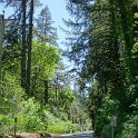 DSC02734
