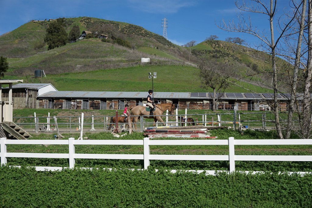 DSC04931