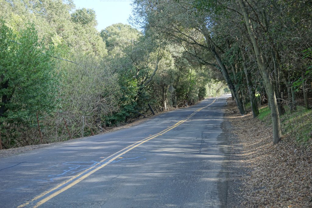 DSC04935
