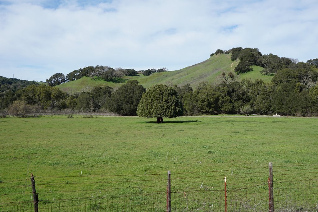DSC04948