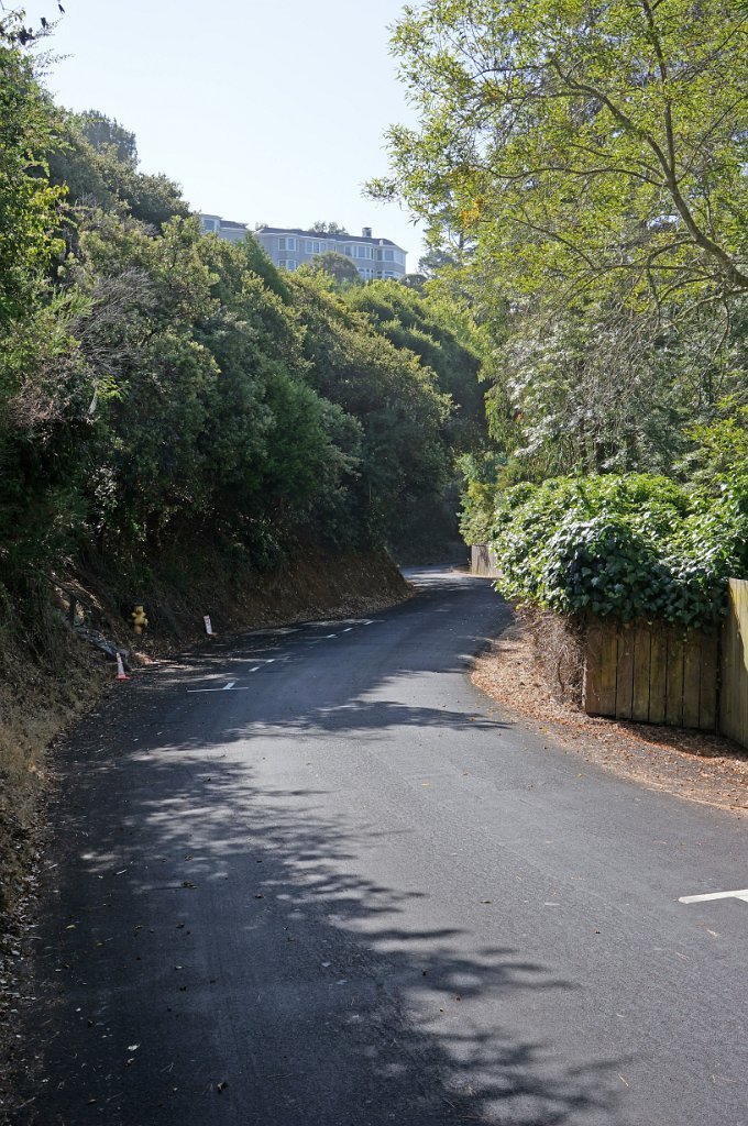 DSC02265
