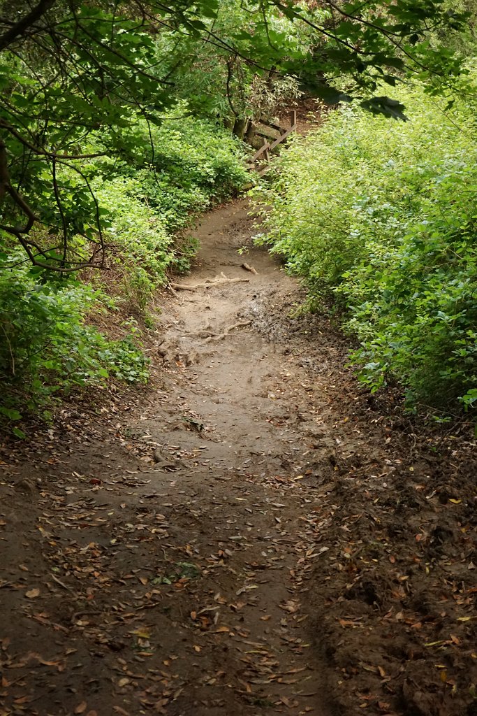 DSC08488