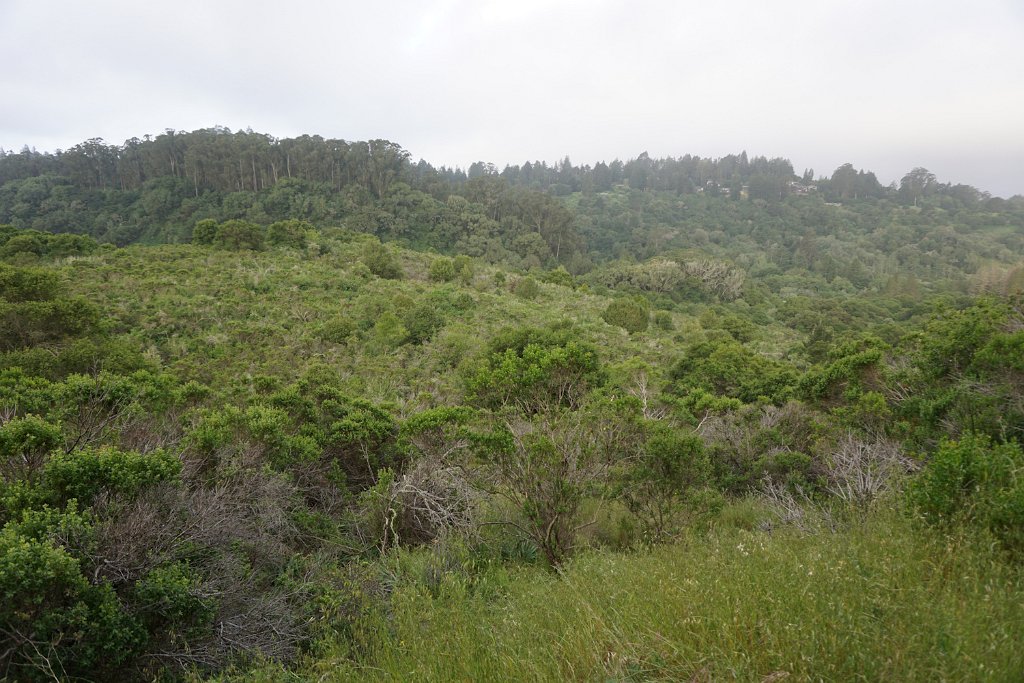 DSC08509