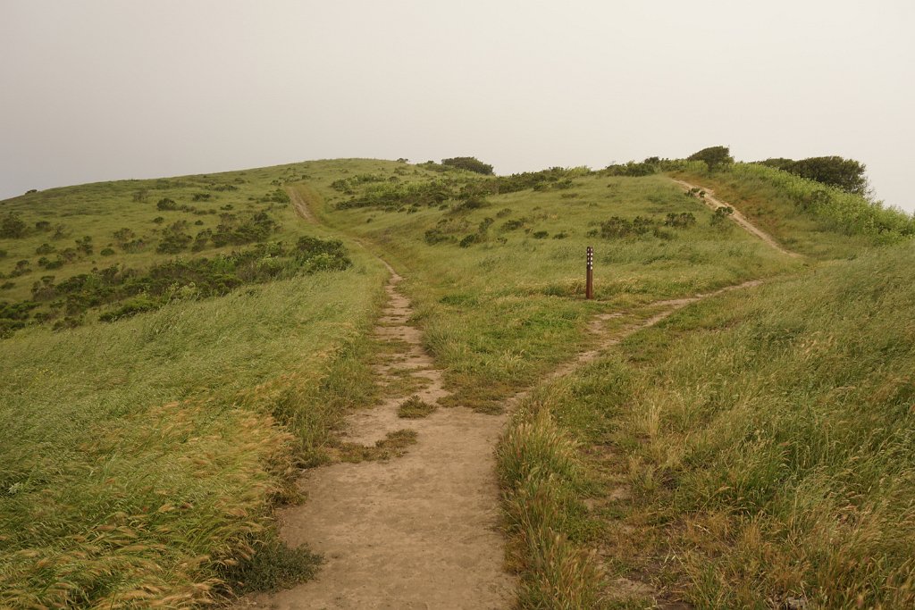 DSC08574