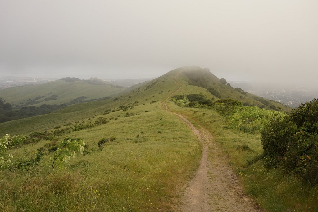 DSC08579