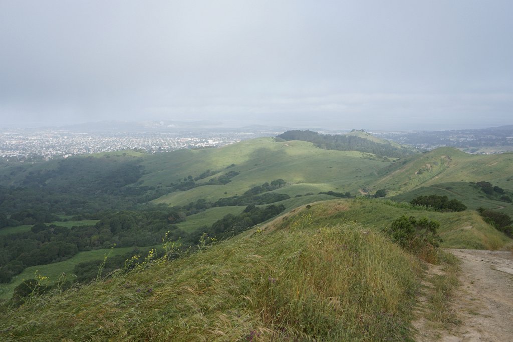 DSC08580