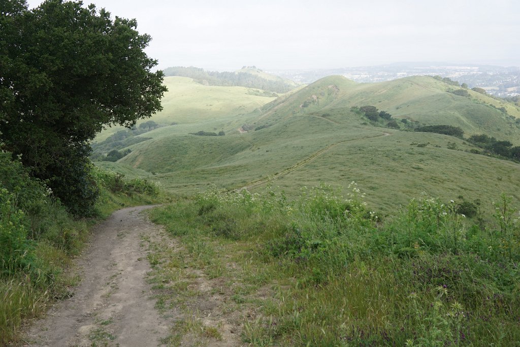DSC08585