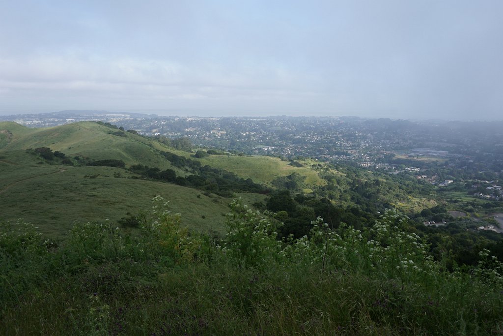 DSC08587