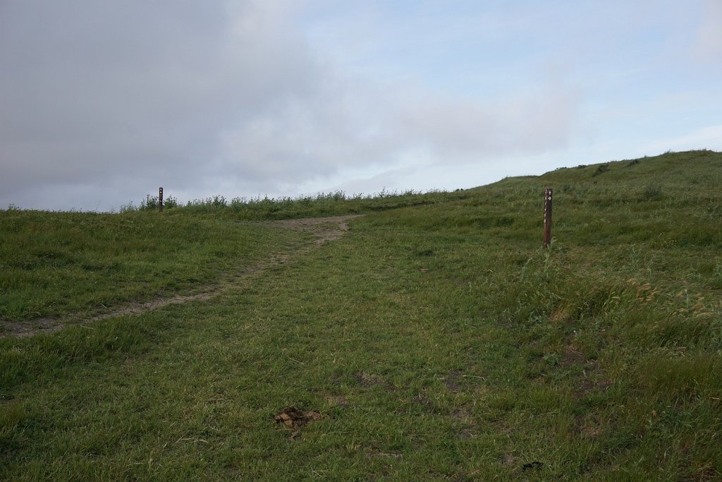 DSC08595