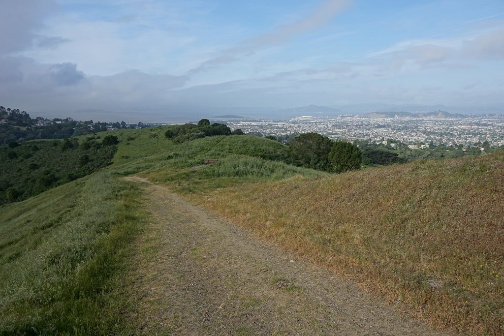 DSC08606