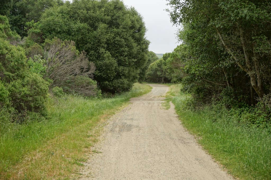 DSC08631