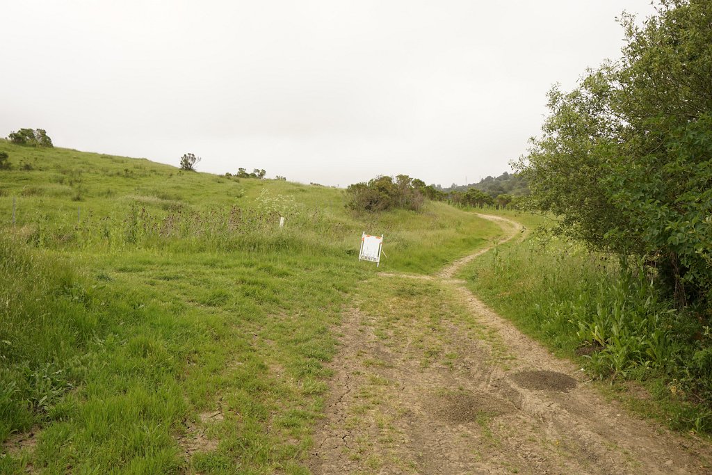 DSC08642