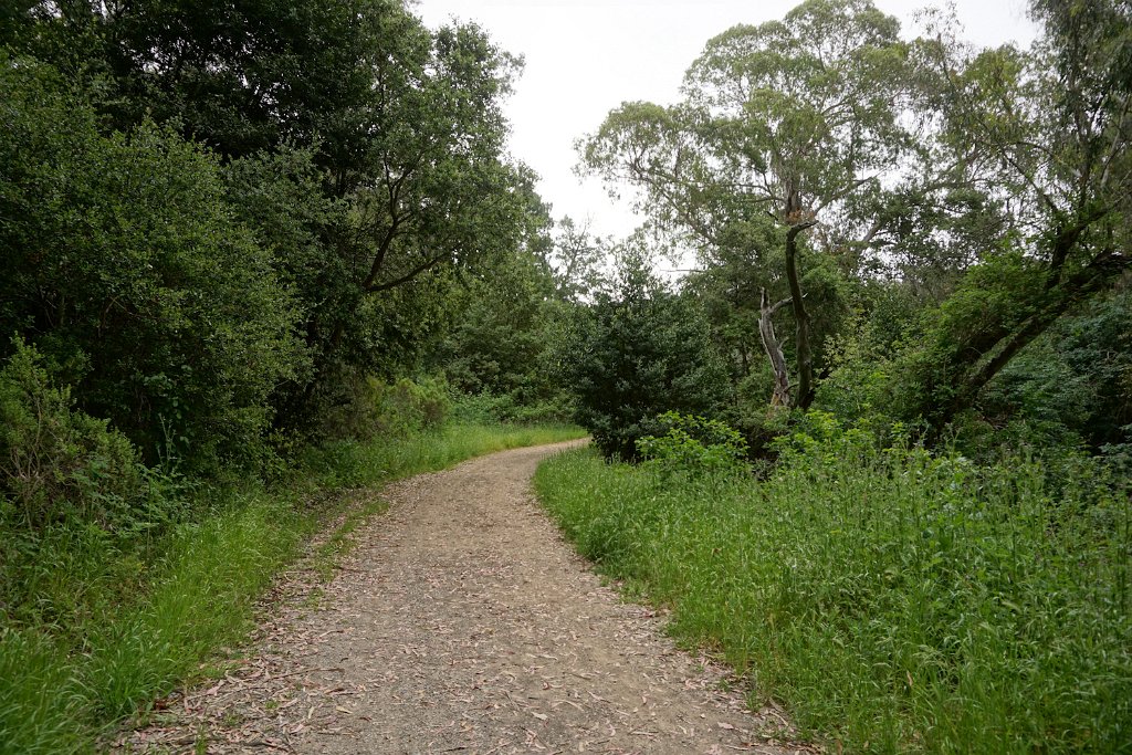 DSC08666