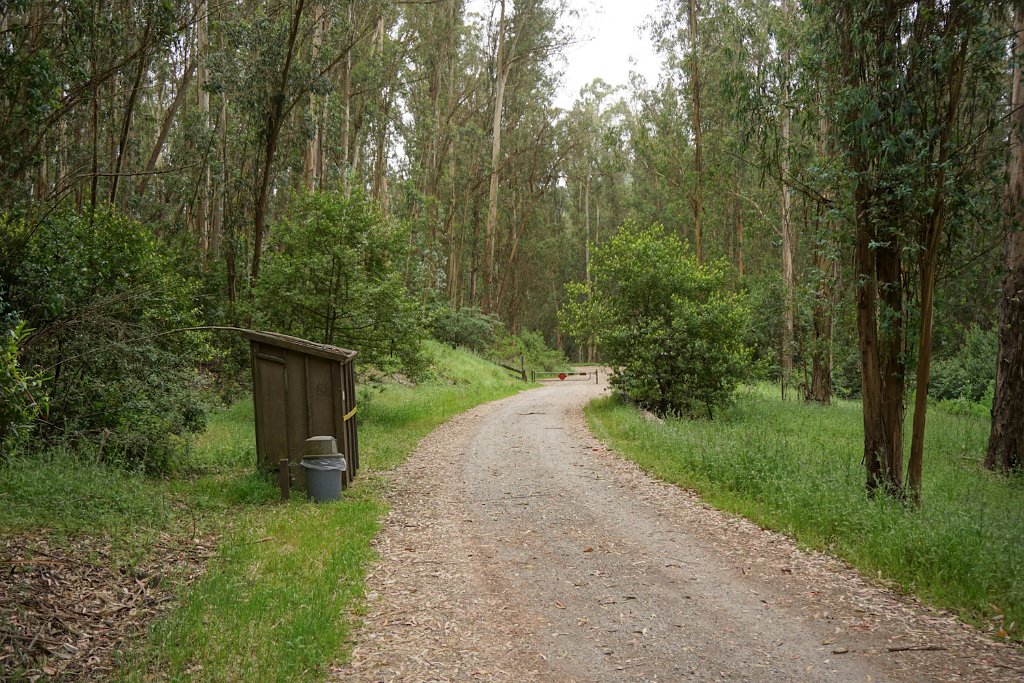DSC08670